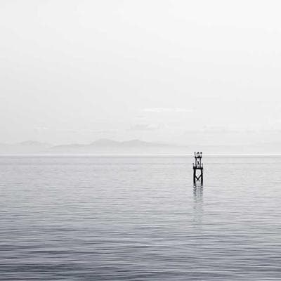 Students reading in the library