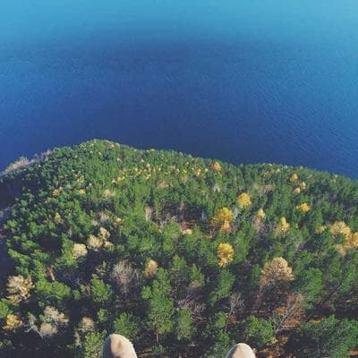 School orchestra performance