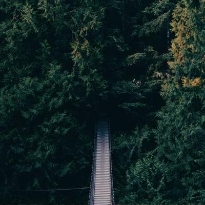 Students engaged in classroom learning